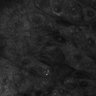 Thumbnail for dataset Fig2D_Gut_SRSraw