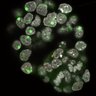 Thumbnail for dataset Fig2a_E4.0_2