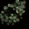 Thumbnail for dataset Fig2a_E4.0_4