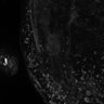 Thumbnail for dataset Fig1b_Act_Norm2