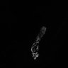 Thumbnail for dataset Fig1b_Mito_Norm3