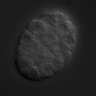 Thumbnail for dataset wt_N2_030207_02