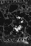 Thumbnail for dataset Fig4F_VB_SARS