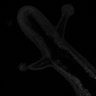 Thumbnail for dataset Fig2DE_TentacleArrange