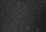 Thumbnail for dataset Fig2E_CardiacSheet