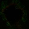 Thumbnail for dataset Fig1G_DAPT_ctrl