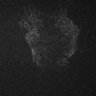 Thumbnail for dataset Fig4C_BeforeBend