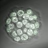 Thumbnail for dataset Fig2b_E3.50_1