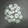 Thumbnail for dataset Fig2b_E3.50_3