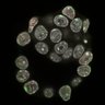 Thumbnail for dataset Fig2b_E3.75_2