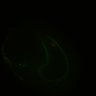 Thumbnail for dataset VideoS3_2