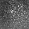 Thumbnail for dataset Fig2A_0nM