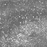 Thumbnail for dataset Fig2A_0.1nM
