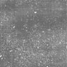 Thumbnail for dataset Fig2A_10nM