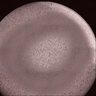 Thumbnail for dataset Fig2DE_HeLa_PKA_6