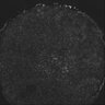 Thumbnail for dataset Fig2G_MDCK_PKA_1