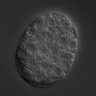Thumbnail for dataset wt_N2_030212_01