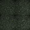 Thumbnail for dataset FigS1_MDCK_inhibit