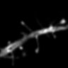 Thumbnail for dataset Fig3F_2PE