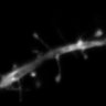 Thumbnail for dataset Fig3F_2PE-STED