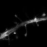 Thumbnail for dataset Fig3F_2PE-gSTED