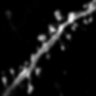 Thumbnail for dataset Fig4B_2PE