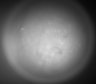Thumbnail for dataset Fig2_Rbp4_Ai162_F7_201008_AP1
