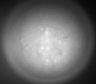 Thumbnail for dataset Fig2_Rbp4_Ai162_F7_201009_AP2