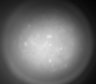 Thumbnail for dataset Fig2_Rbp4_Ai162_F8_211224_LM