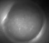 Thumbnail for dataset Fig2_Rbp4_Ai162_Gi_SMTb_F4_211013_AP2