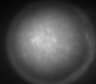 Thumbnail for dataset Fig2_Rbp4_Ai162_MD_F6_210329_AP1