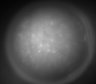 Thumbnail for dataset Fig2_Rbp4_Ai162_MD_F6_210330_AP2