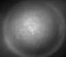 Thumbnail for dataset Fig2_Rbp4_Ai162_MD_F6_210421_LM