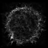 Thumbnail for dataset Fig2_onephoton_act_TL_SPASIM