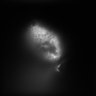 Thumbnail for dataset Fig2_onephoton_AP_SPIM