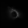 Thumbnail for dataset Fig2_onephoton_mito_3D_3DSIM