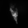 Thumbnail for dataset Fig2_onephoton_mito_fixed_SPIM