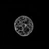 Thumbnail for dataset Fig2_twophoton_H2B_nulceus_SPA3DSIM
