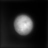 Thumbnail for dataset Fig2_twophoton_H2B_nulceus_WF