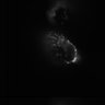 Thumbnail for dataset FigS8_onephoton_mito2_SPASIM