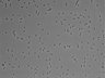 479-Ikebe-MorphResDL/AMK_20220511_AMK1_0018 thumbnail