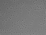 479-Ikebe-MorphResDL/AMK_20220511_AMK3_0016 thumbnail