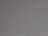 479-Ikebe-MorphResDL/AMK_20220724_AMK1_0006 thumbnail