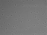479-Ikebe-MorphResDL/AZM_20220316_AZM3_0005 thumbnail