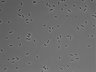 479-Ikebe-MorphResDL/AZM_20220316_P_0018 thumbnail