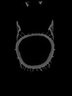 Thumbnail for dataset Chaunax_abei_SL178mm
