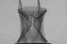 Thumbnail for dataset Chaunax_abei_SL178mm