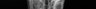 Thumbnail for Chaunax_abei_SL178mm