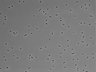 479-Ikebe-MorphResDL/CFIX_20220529_CFIX1_0005 thumbnail