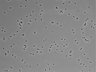 479-Ikebe-MorphResDL/CFIX_20220529_CFIX1_0007 thumbnail